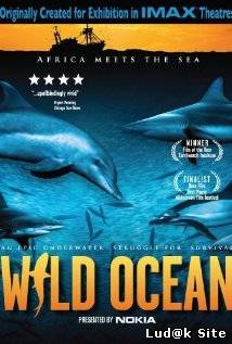 Wild Ocean (2008) 