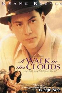 A Walk in the Clouds (1995)