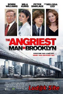 The Angriest Man in Brooklyn (2014)