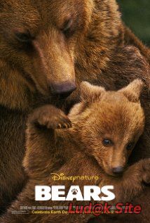 Bears (2014)