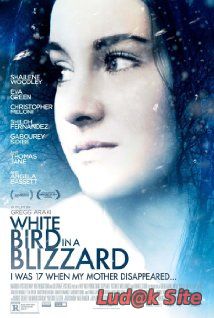 White Bird in a Blizzard (2014)