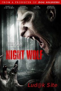 13Hrs Aka Night Wolf (2010)