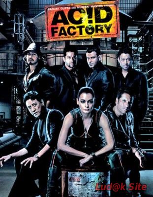 Acid Factory (2009)