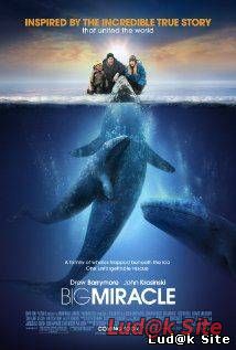 Big Miracle (2012)