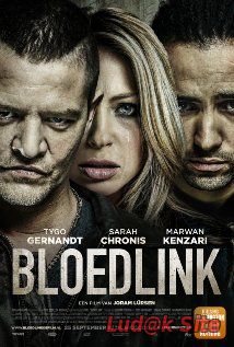 Bloedlink Aka Reckless (2014)