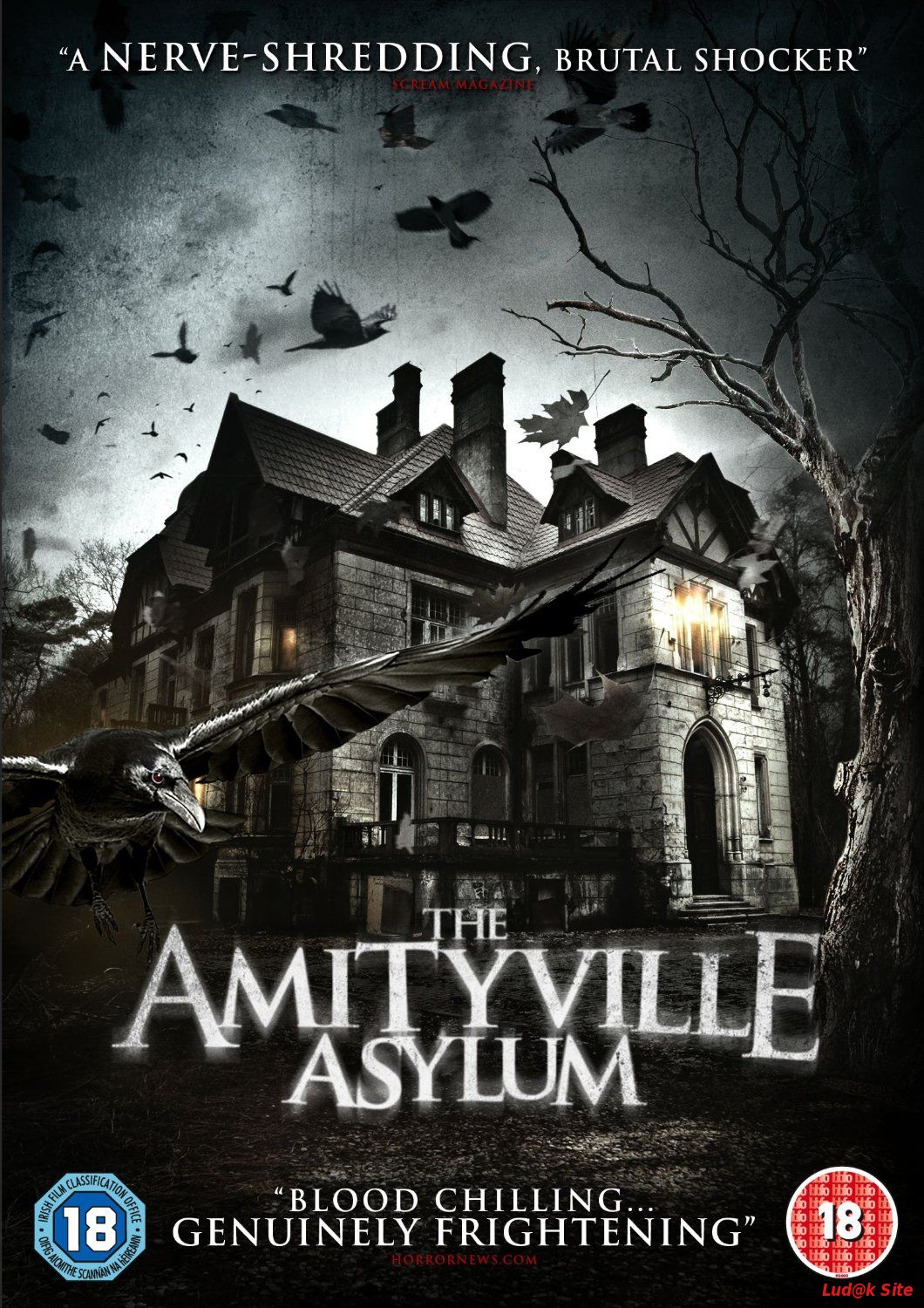 The Amityville Asylum (2013)