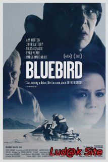 Bluebird (2013)