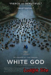 Fehér Isten Aka White God (2014)