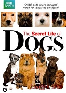 Secret Life Of Dogs (2013)