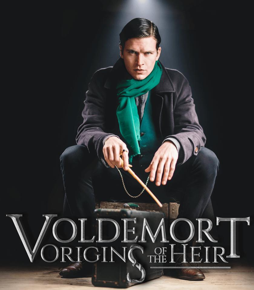 Voldemort: Origins of the Heir (2018)