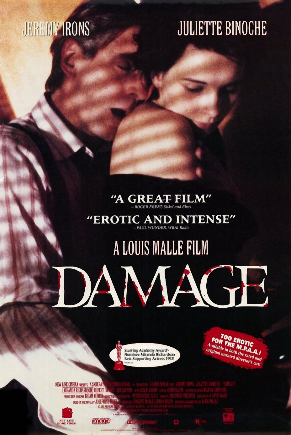 Damage (1992)