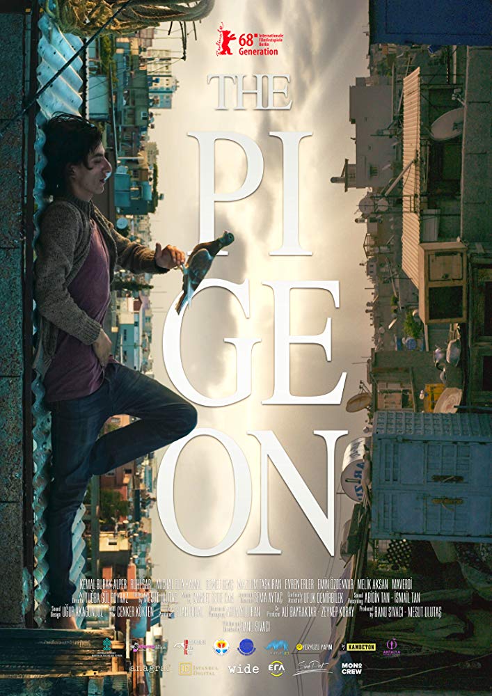 Güvercin Aka The Pigeon (2018)