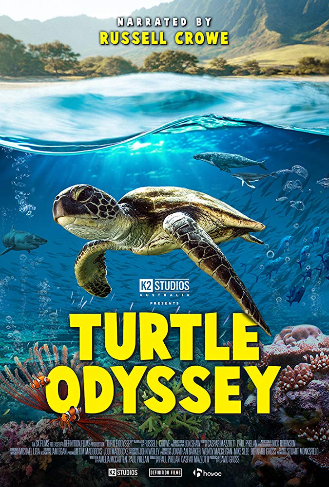 Turtle Odyssey (2018)